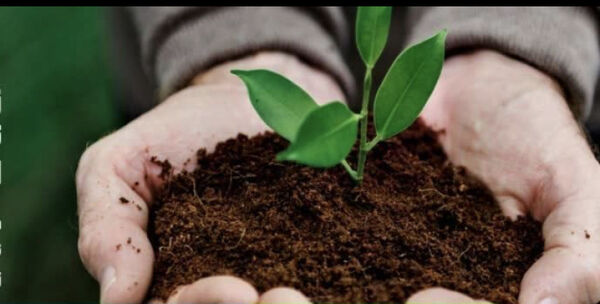 تخصیص یک هزار و ۵٠٠ تن کود ازته یارانه ای  به  استان تهران
