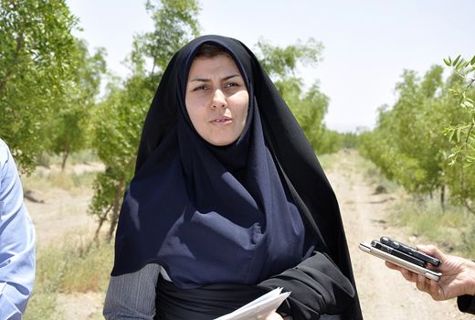 اجرای سیستم‌های نوین آبیاری در سطح 539هکتار در سطح شهرستان سربیشه