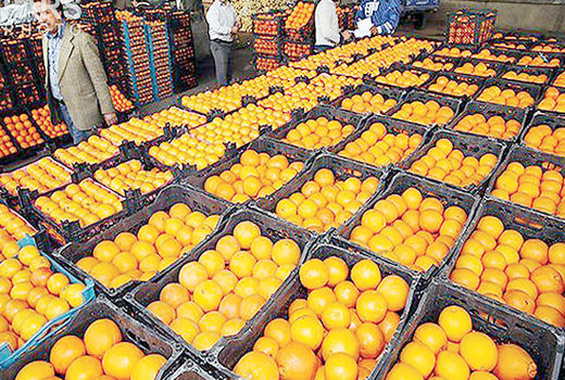 افزایش 1100 درصدی صادرات مرکبات مازندران