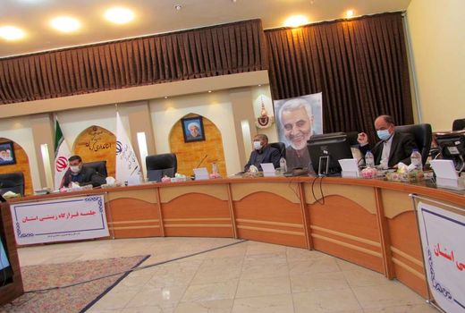 نگرانی ورود پرندگان مهاجر به استان کرمان هستیم