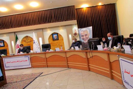 نگرانی ورود پرندگان مهاجر به استان کرمان هستیم