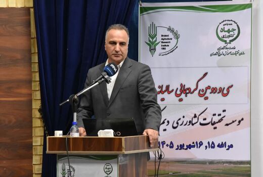 افزایش ۷ میلیون تنی تولیدات زراعی و باغی در سال گذشته/ تولید ۱۴.۱ میلیون تن گندم، رکورد تاریخی کشور