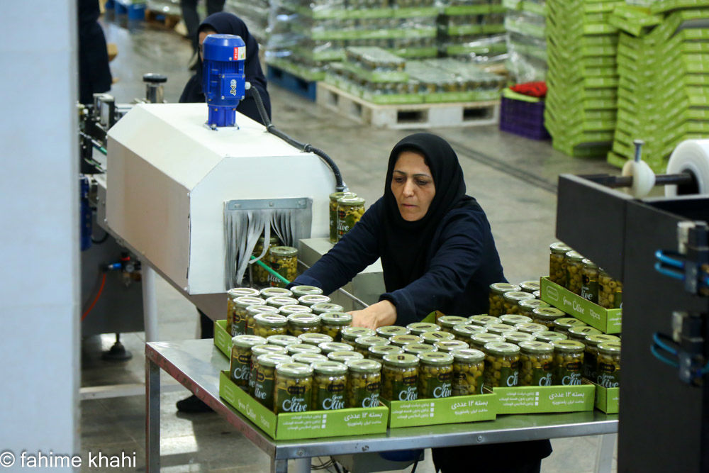 از لمس شاخه تا عصاره ی نور  