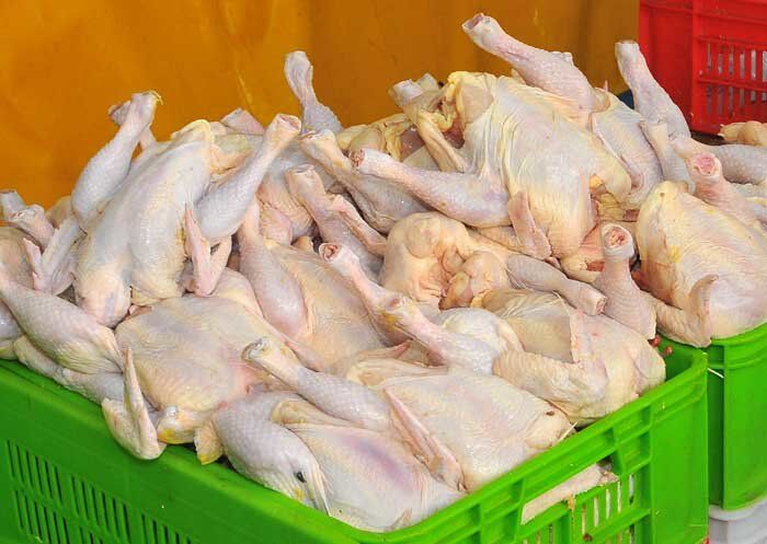 بازار مرغ و ماهی آرام گرفت