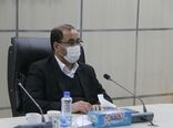 توسعه کشت گیاهان دارویی از الویت های جهاد کشاورزی لرستان 