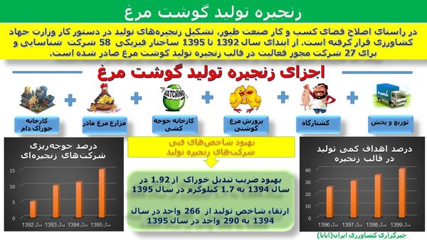اینفوگرافیک زنجیره تولید گوشت مرغ