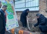 پویش درختکاری به یاد مادران در سرای سالمندان میانه برگزار شد