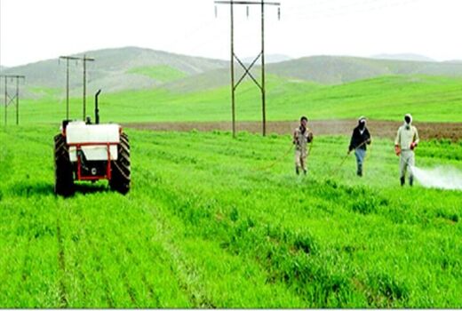 مبارزه با آفات گیاهی در 220 هزار هکتاراز اراضی کشاورزی آذربایجان غربی