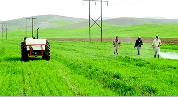 مبارزه با آفات گیاهی در 220 هزار هکتاراز اراضی کشاورزی آذربایجان غربی