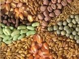 خودکفایی ایران در تولید 6 رقم بذر اصلاح شده زراعی