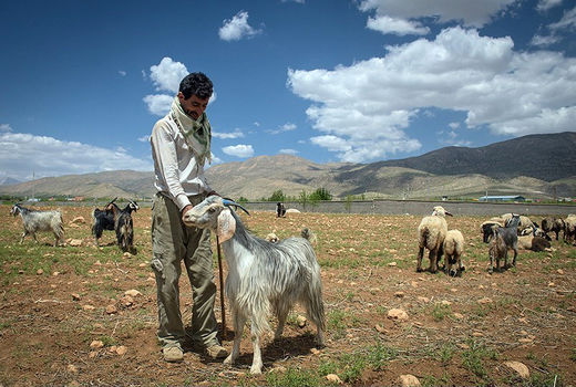 بررسی آخرین وضعیت خشکسالی در کشور 