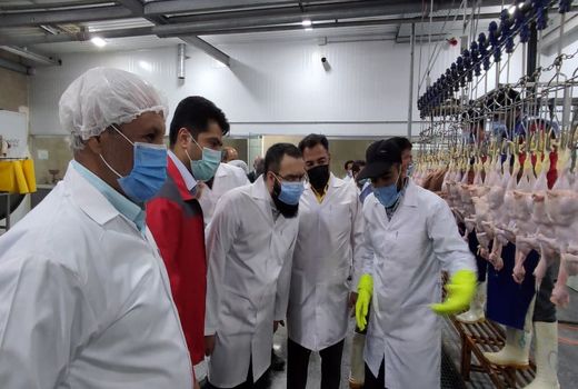 دریافت گواهی استاندارد و حلال توسط کشتارگاه مدرن جهان مرغ مرند