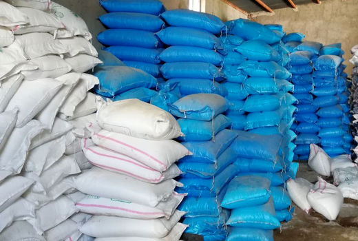 توزیع بیش از ۲۲ هزا تن کود شیمیایی بین کشاورزان استان قزوین