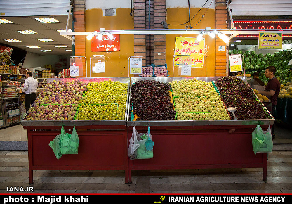 زباله‌های پلاستیکی