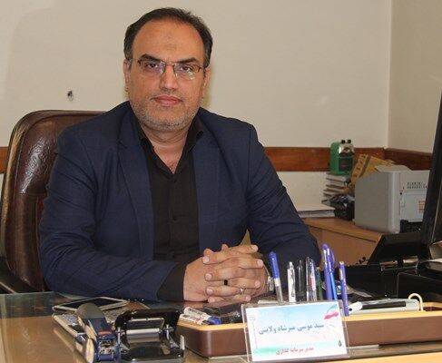 212 متقاضی کشت گلخانه ای و پرورش قارچ به بانک کشاورزی معرفی شد