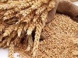 شناسایی ۱۰۰ دلال گندم در خراسان شمالی 