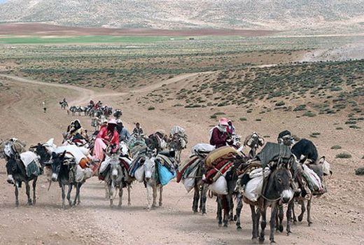 خدمات رسانی به عشایر فارس در طول مسیر کوچ بهاره