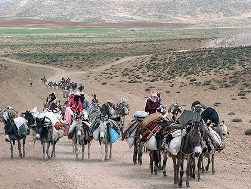 خدمات رسانی به عشایر فارس در طول مسیر کوچ بهاره