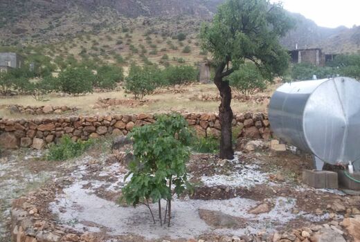 خسارت ۹۳میلیاردی تگرگ به باغ‌های نی‌ریز
