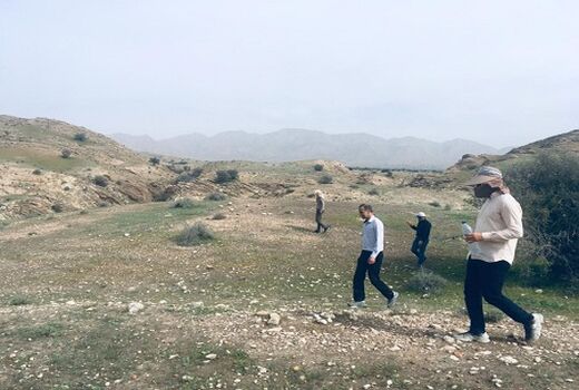 حضور دسته‌های کوچک ملخ صحرایی در قیروکارزین تایید شد 