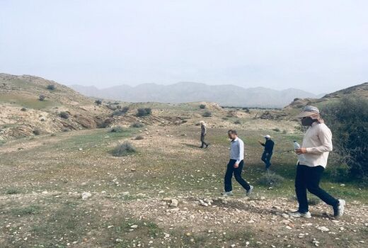 حضور دسته‌های کوچک ملخ صحرایی در قیروکارزین تایید شد 