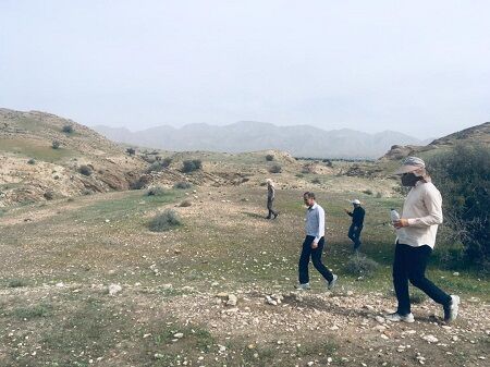حضور دسته‌های کوچک ملخ صحرایی در قیروکارزین تایید شد 