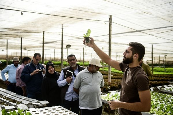 تولید مواد غذایی با منابع کمتر