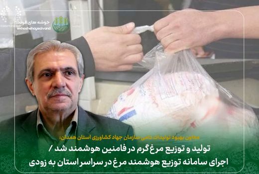 تولید و توزیع مرغ گرم در فامنین هوشمند شد