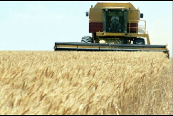 نرخنامه کمباین سال زراعی ۱۴۰۰- ۱۳۹۹اعلام شد.