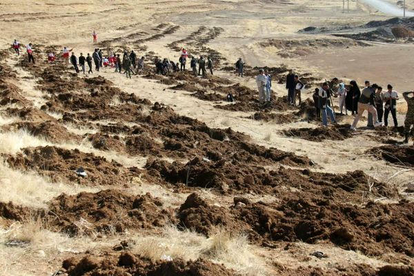 توزیع ۹۰۰ هزاراصل نهال مثمر در چهارمحال وبختیاری