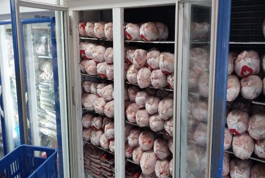 توزیع مرغ منجمد به‌صورت گسترده و روزانه در آذربایجان شرقی 