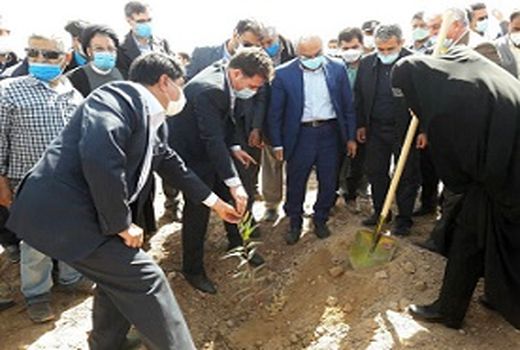کاشت نهال به مناسبت روز درختکاری با حضور استاندار کرمان