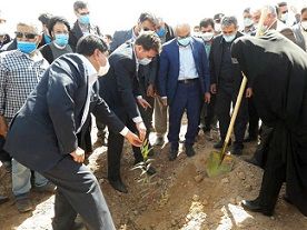 کاشت نهال به مناسبت روز درختکاری با حضور استاندار کرمان