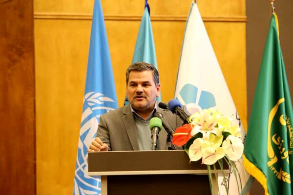 صنعت زنبورداری مصداق اقتصاد مقاومتی است