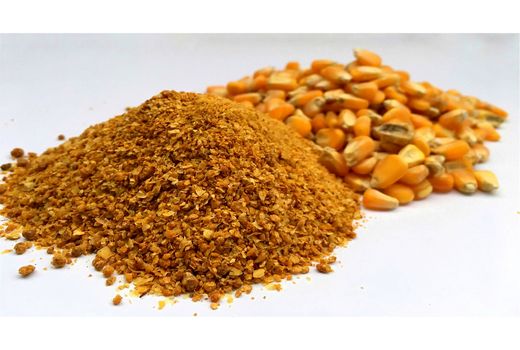 توزیع 2 هزار تن نهاده دامی در آمل