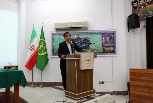 رتبه برتر مازندران در پرداخت تسهیلات بخش کشاورزی/ کشت مکانیزه 130 هزار هکتاری برنج