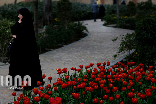 گردشگران در باغ گل ایرانی