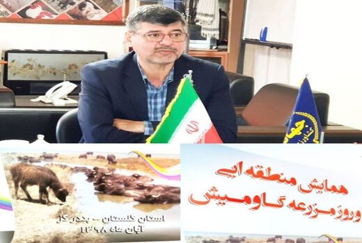 همایش منطقه ای و روز مزرعه گاومیش دام هزاره سوم در استان گلستان برگزار می شود