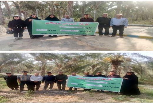 برگزاری دوره آموزشی قوانین و مقررات حفظ کاربری برای بهره‌برداران در شهرستان تنگستان 