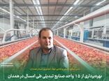 بهره‌برداری از ۱۵ واحد صنایع تبدیلی طی امسال در همدان 