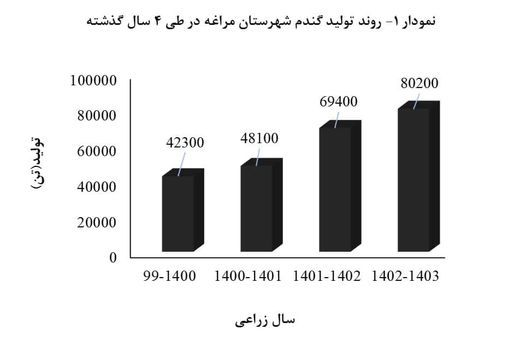 افزایش پیوسته تولید گندم دیم در مراغه طی چهار سال اخیر