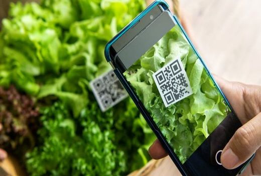 صادرات محصولات کشاورزی فقط با ثبت نام در سامانه سماک و اخذ کد شناسه امکانپذیر است