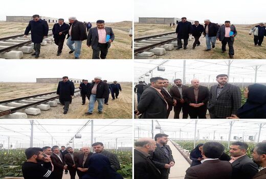 بازدید معاون استاندار تهران از شهرک گلخانه ای حصارگلی در ورامین