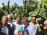 توسعه کشاورزی اقتصادی روز ضامن رونق تولید و اشتغال 