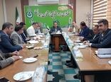 خرید تضمینی گندم در همدان به تعاون روستایی واگذار شد