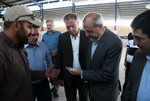 بازدید میدانی رئیس سازمان جهادکشاورزی آذربایجان شرقی از ظرفیتهای کشاورزی شهرستان میانه