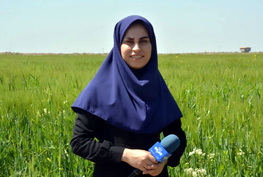 خاطرات شیرین  خبرنگاری  هنگام برداشت آلبالو در شهرستان تسوج/ اخبار کشاورزی اولویت اول من است