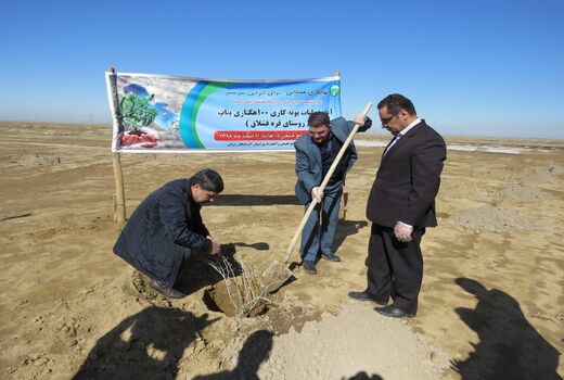 آغاز بوته کاری صد هکتاری در راستای بیابان زدایی درحوزه دریاچه ارومیه  درشهرستان  بناب