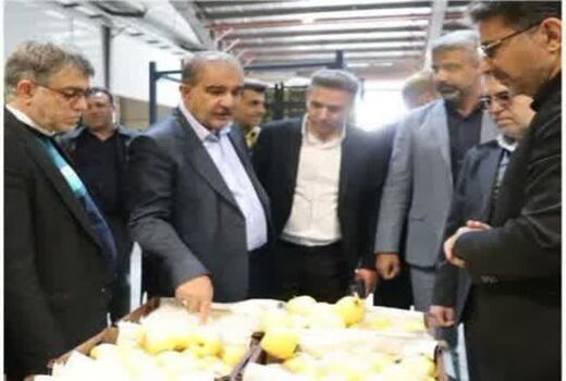 بازار آرام شب عید از تامین اقلام اساسی تا نهاده دامی 