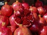پیش بینی برداشت 92هزار 800 تن محصول انار در اصفهان